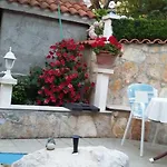 Ivan & Tonka *