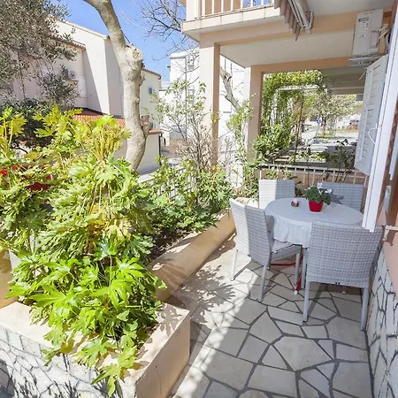 Ivan & Tonka 투체피