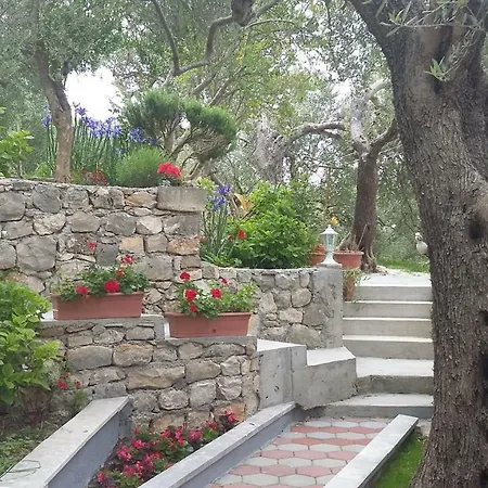 아파트 Ivan & Tonka